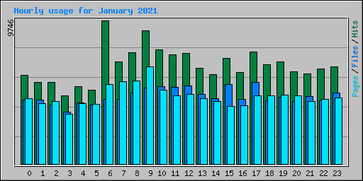 Hourly usage for January 2021