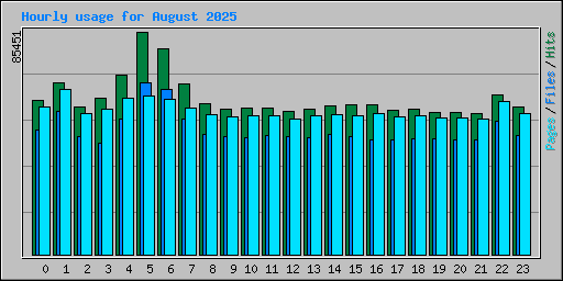 Hourly usage for August 2025