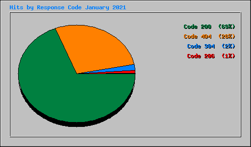 Hits by Response Code January 2021